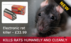 Electronic rat killer - £33.99 