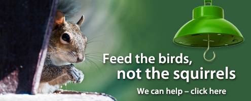 Feed the birds, not the squirrels.  We can help. 