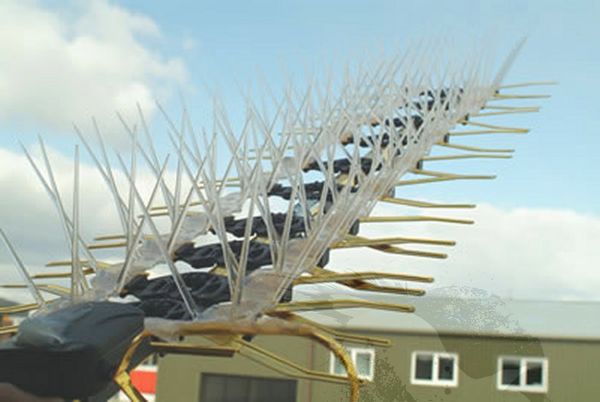 TV Aerial Bird Spike Kit