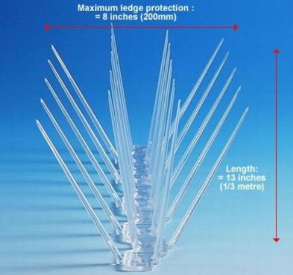Plastic Pigeon Spikes