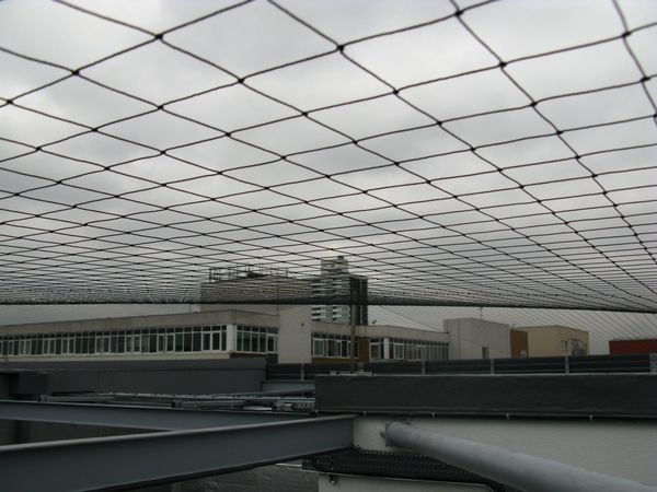 Seagull Netting - Black