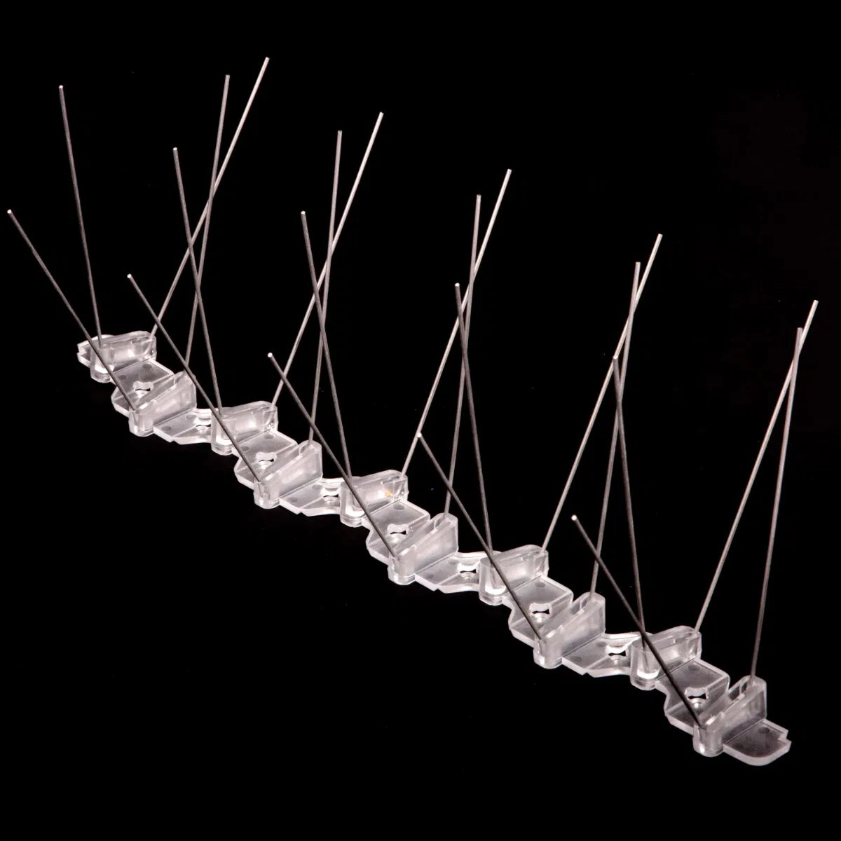 5m Medium Stainless Steel Pigeon Spike Kit