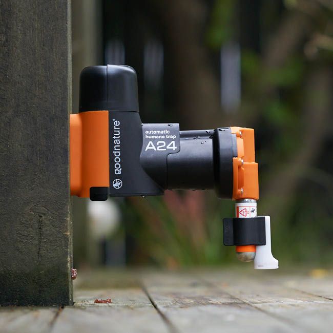 Goodnature A24 Rat Trap Kit