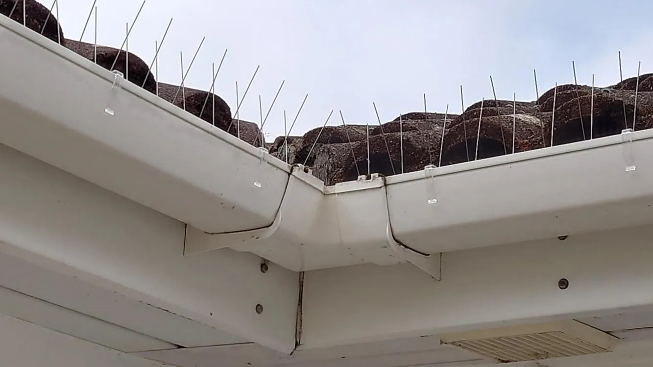 Seagull Spikes Gutter Kit