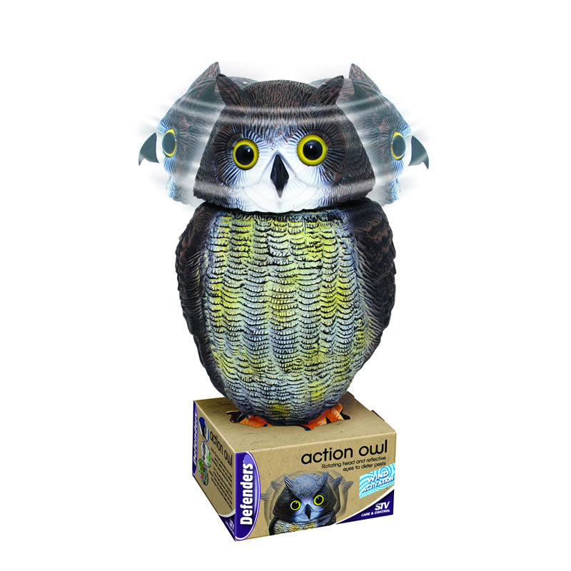 Action Owl with Moving Head