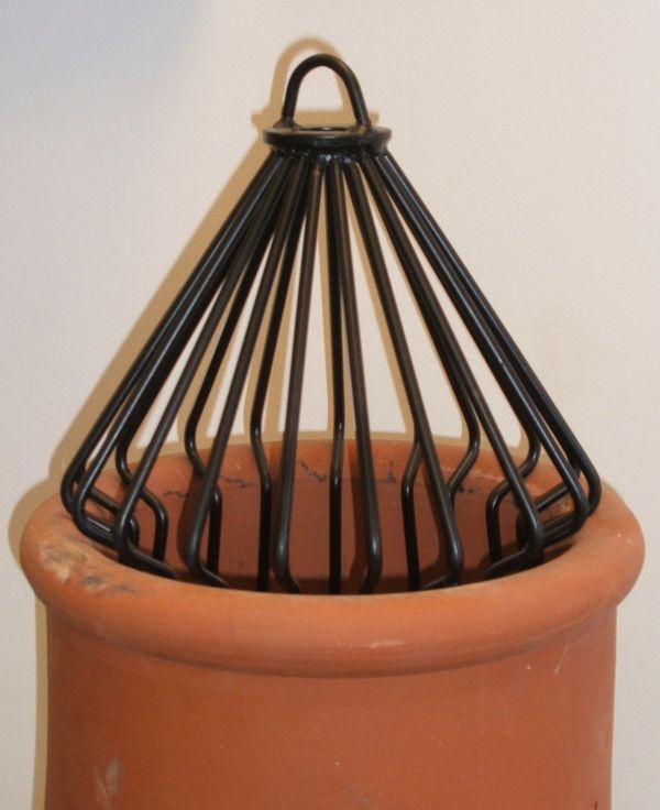 Chimney Protection