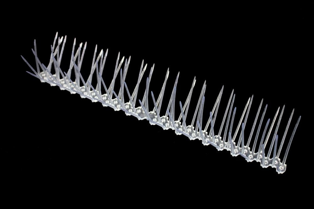 Thistle Strip