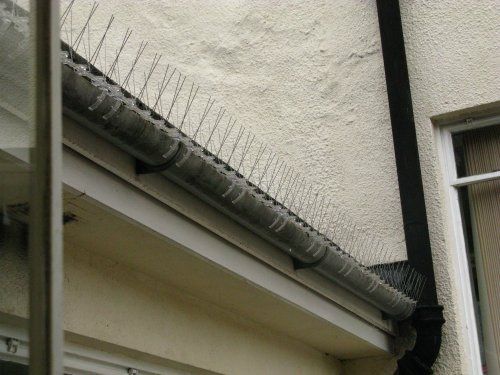 Gutter Clips