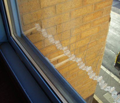 Window Posts