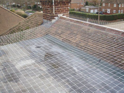 Seagull Netting - Translucent