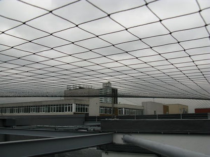 Seagull Netting - Black