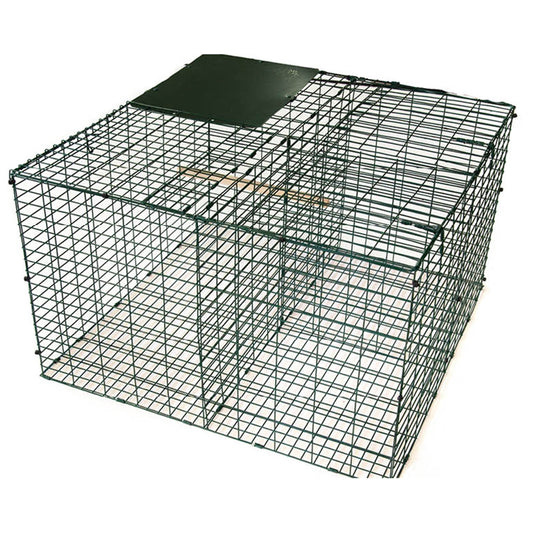 Larsen Trap