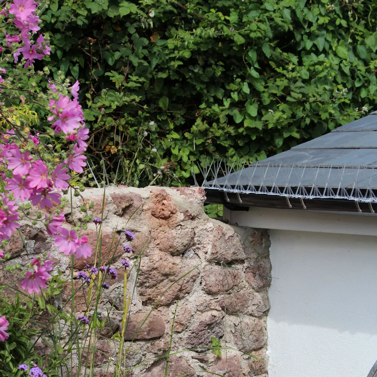 Plastic Pigeon Spikes - Gutter Kit
