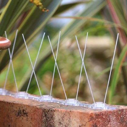 5m Narrow Stainless Steel Pigeon Spikes Kit