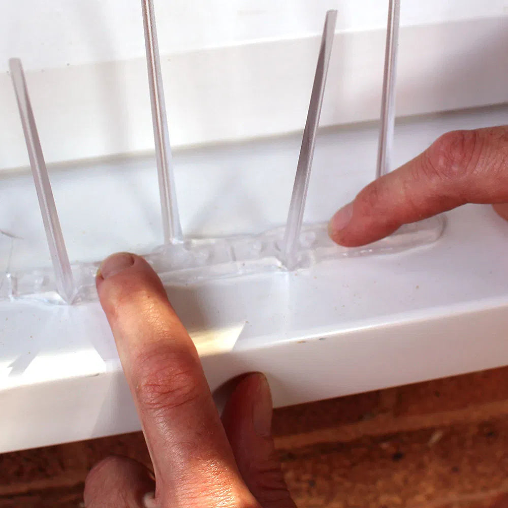 5m Narrow Plastic Pigeon Spikes Kit