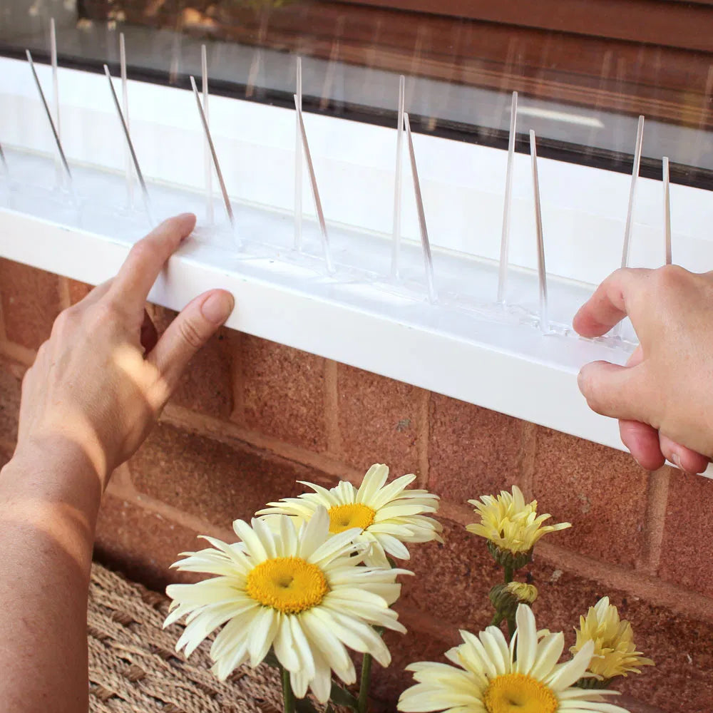 Narrow Plastic Pigeon Spikes