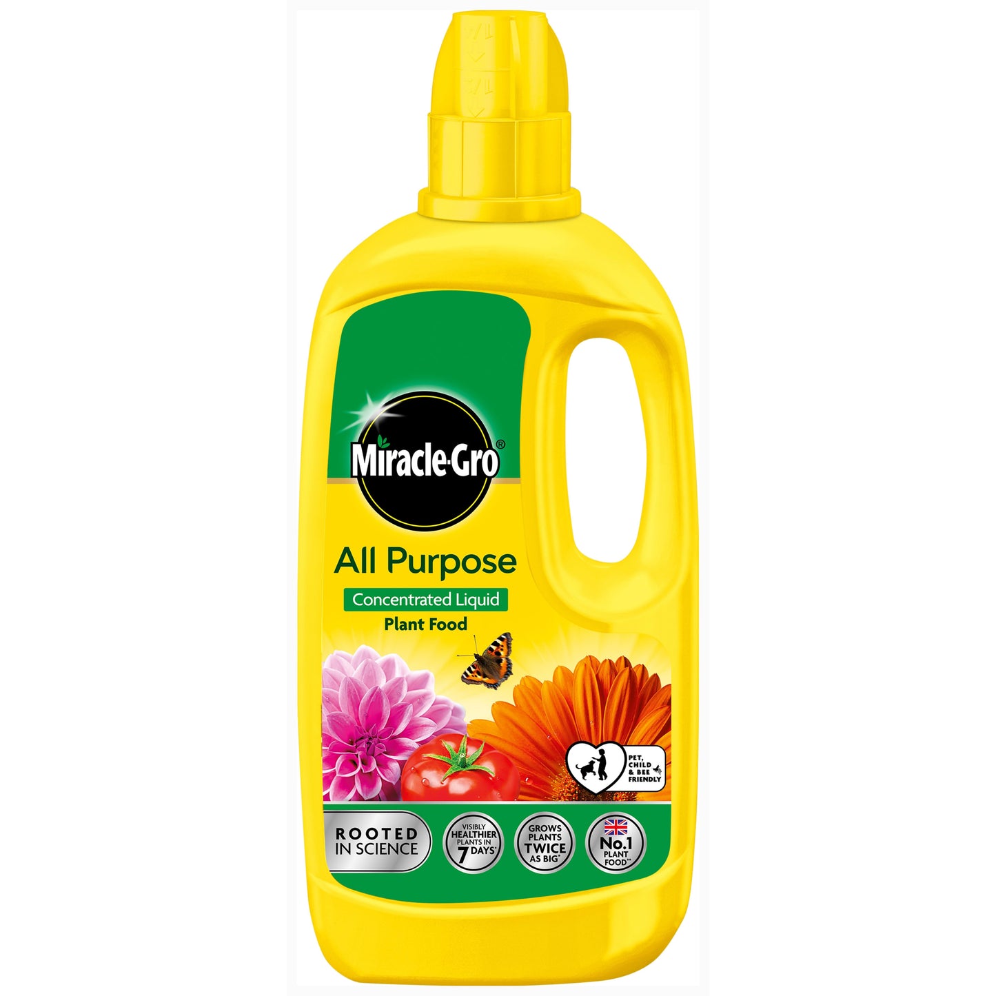 Miracle-Gro All Purpose Concentrated Plant Food - 800ml