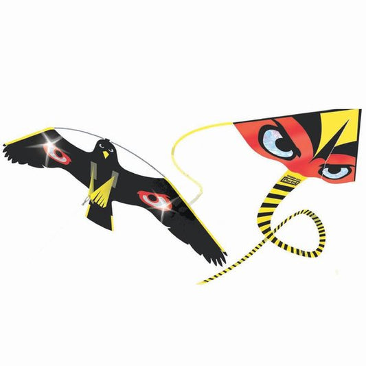 Hawk Kite