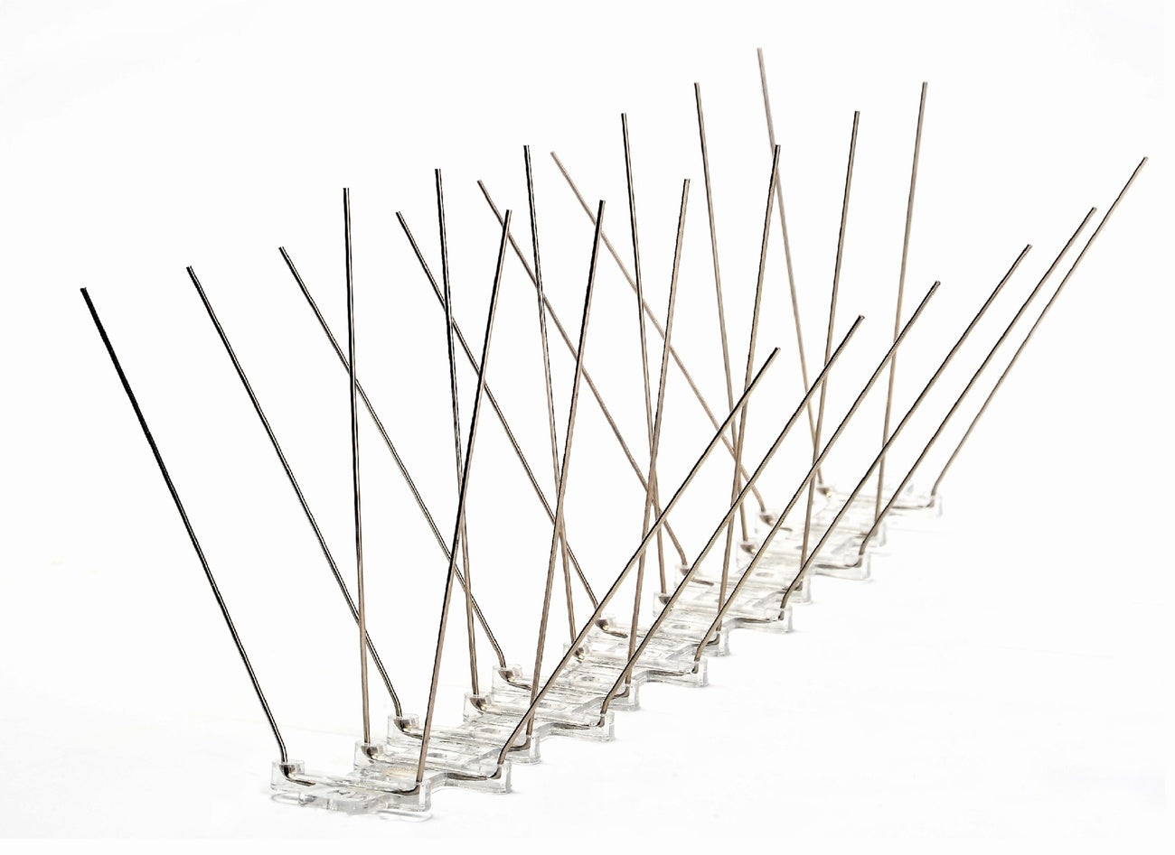 Medium Stainless Steel Pigeon Spikes