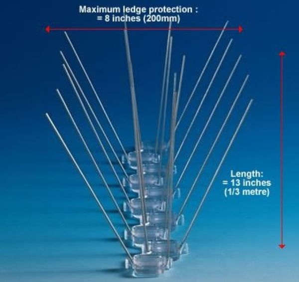 Medium Stainless Steel Pigeon Spikes