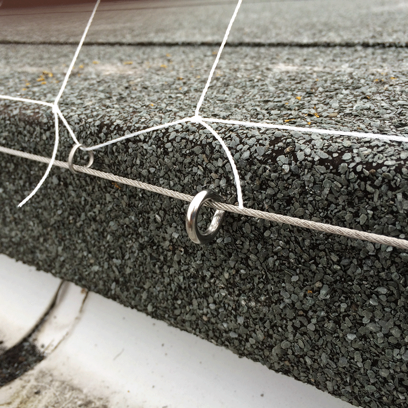 Screw Eye Masonry Fixing - 45mm