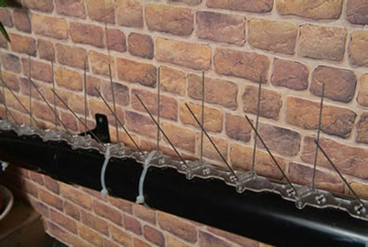 Seagull Spike Pipe Kit