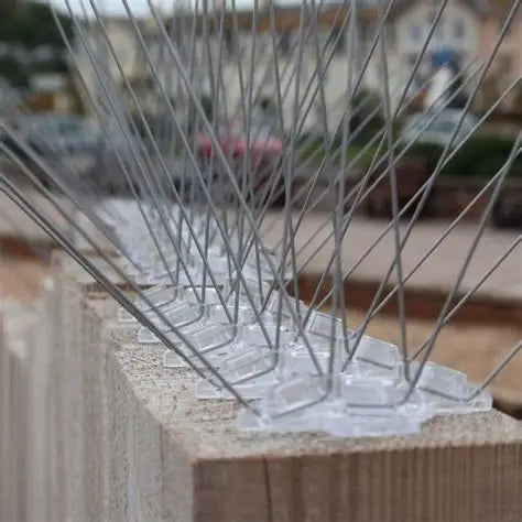 5m Stainless Steel Seagull Spike Kit