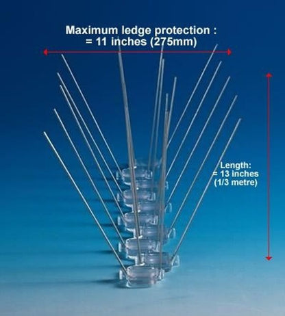 Seagull Spikes - 40m Box with 8 FREE Tubes of Silicone Adhesive