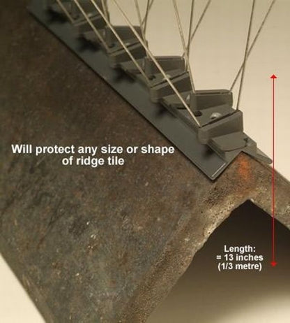 Stainless Steel Triangular Ridge Spikes