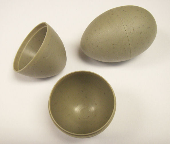 Erastz Gull Egg