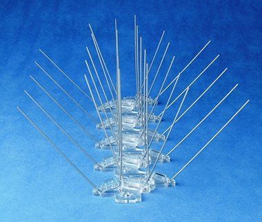 Wide Stainless Steel Pigeon Spikes