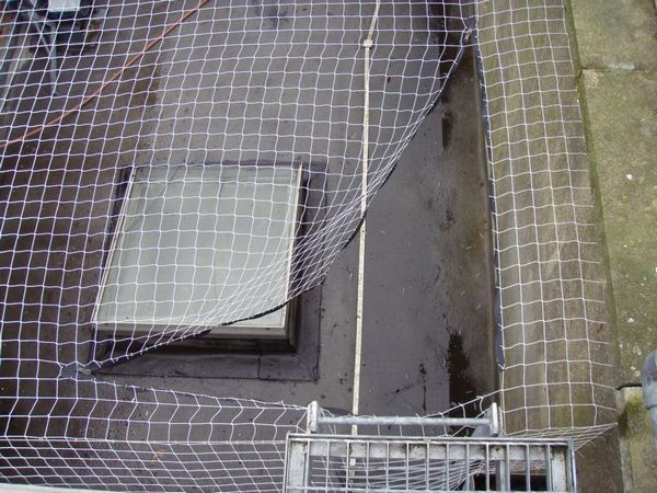 Net Zips