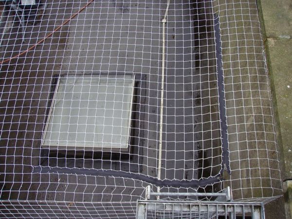 Net Zips