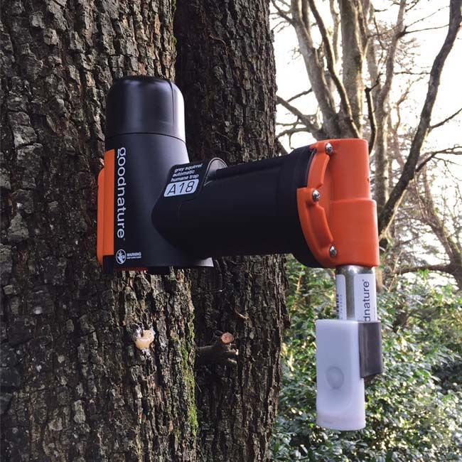 Goodnature A18 Trap For Squirrels