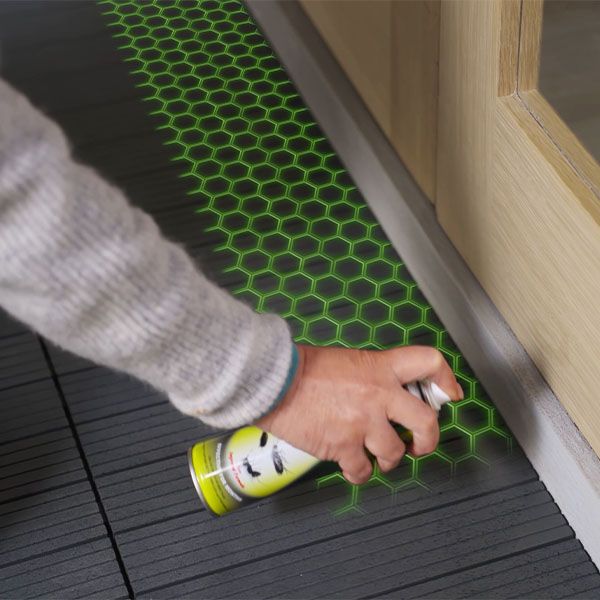 Dethlac Insecticidal Lacquer Spray