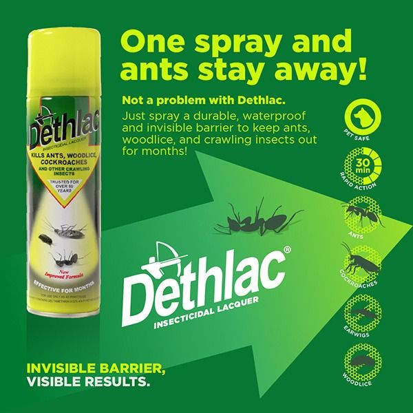 Dethlac Insecticidal Lacquer Spray