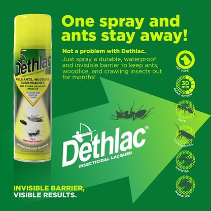 Dethlac Insecticidal Lacquer Spray
