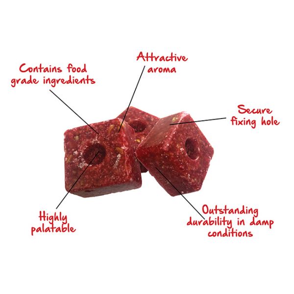 Rascal Bromadiolone Wax Blocks