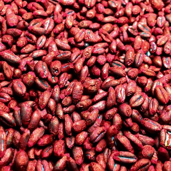 Rascal Bromadiolone Whole Wheat Bait