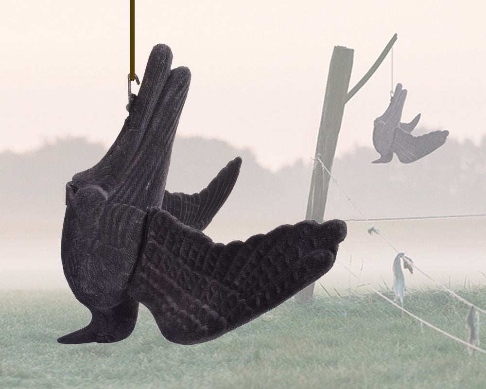 Hanging Crow Scarer