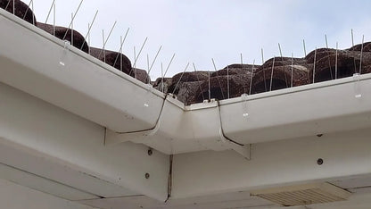 Seagull Spikes Gutter Kit
