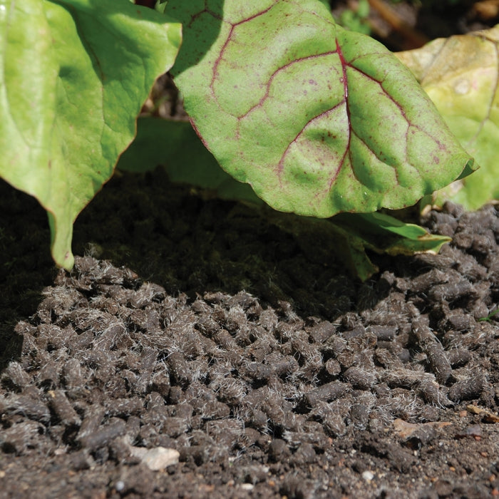 Slugs Away Wool Pellets