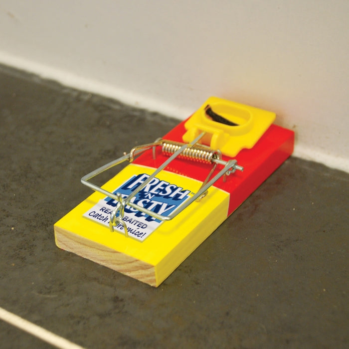 Fresh Baited Mouse Trap - Twinpack