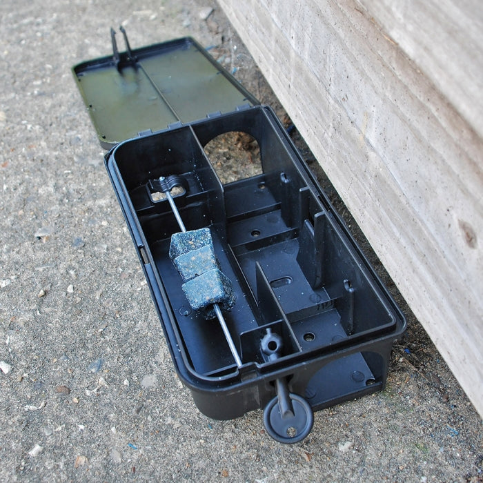 All Weather Big Cheese Bait Blocks