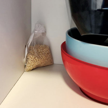 The Big Cheese Mouse Out Peppermint Scent Repeller