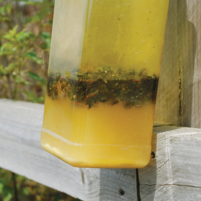 Ready-Baited XL Outdoor Fly Trap
