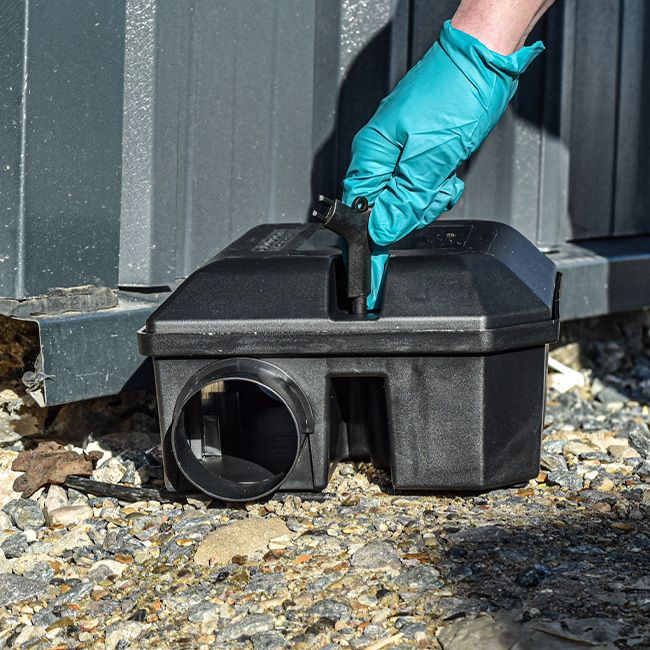 Rotech Vanguard Rat Box