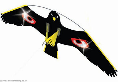 Hawk Kite