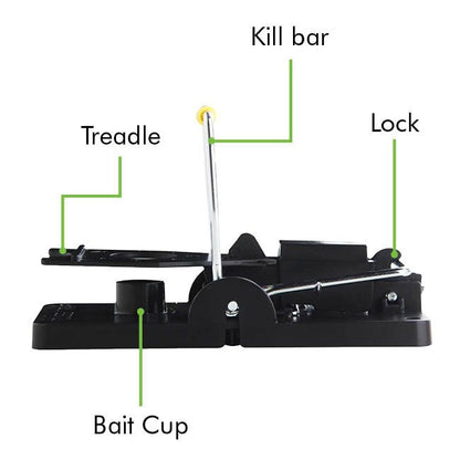 Snap-e Mouse Trap