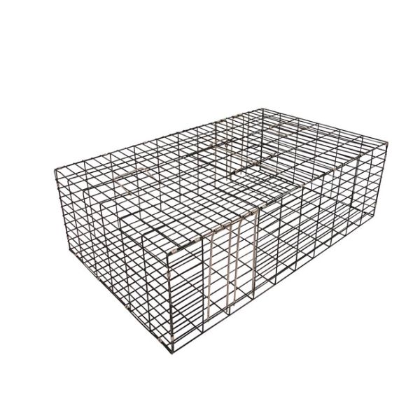 Multi Catch Pigeon Trap- Rigid
